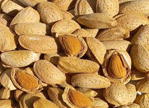 تصویر 1 از قیمت بادام ربیع صادراتی با کیفیت یکدست